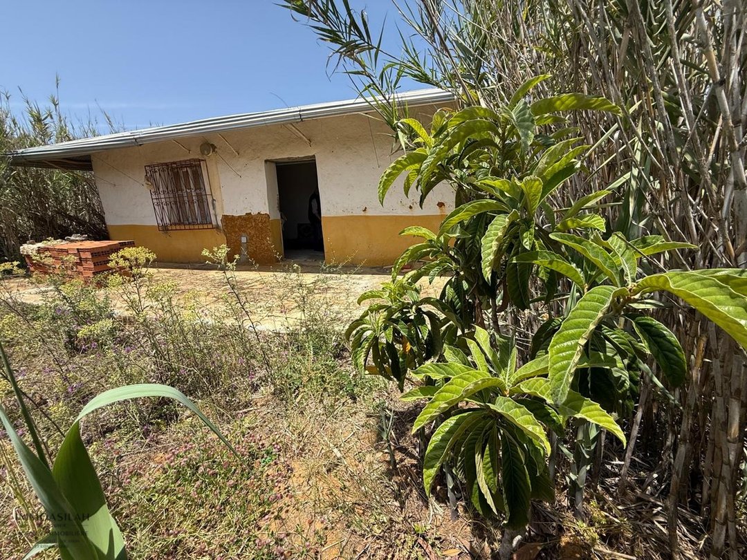 Casa de campo y terreno de 4880 m2 - Photo 1