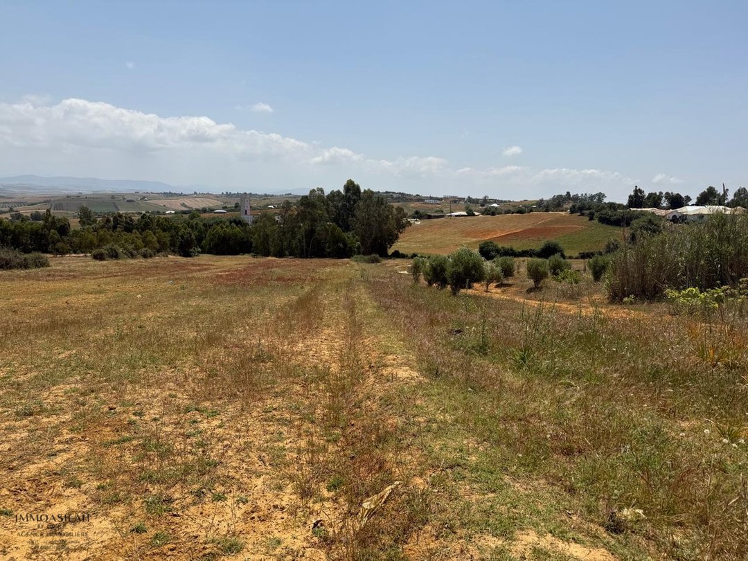 Casa de campo y terreno de 4880 m2 - Photo 10