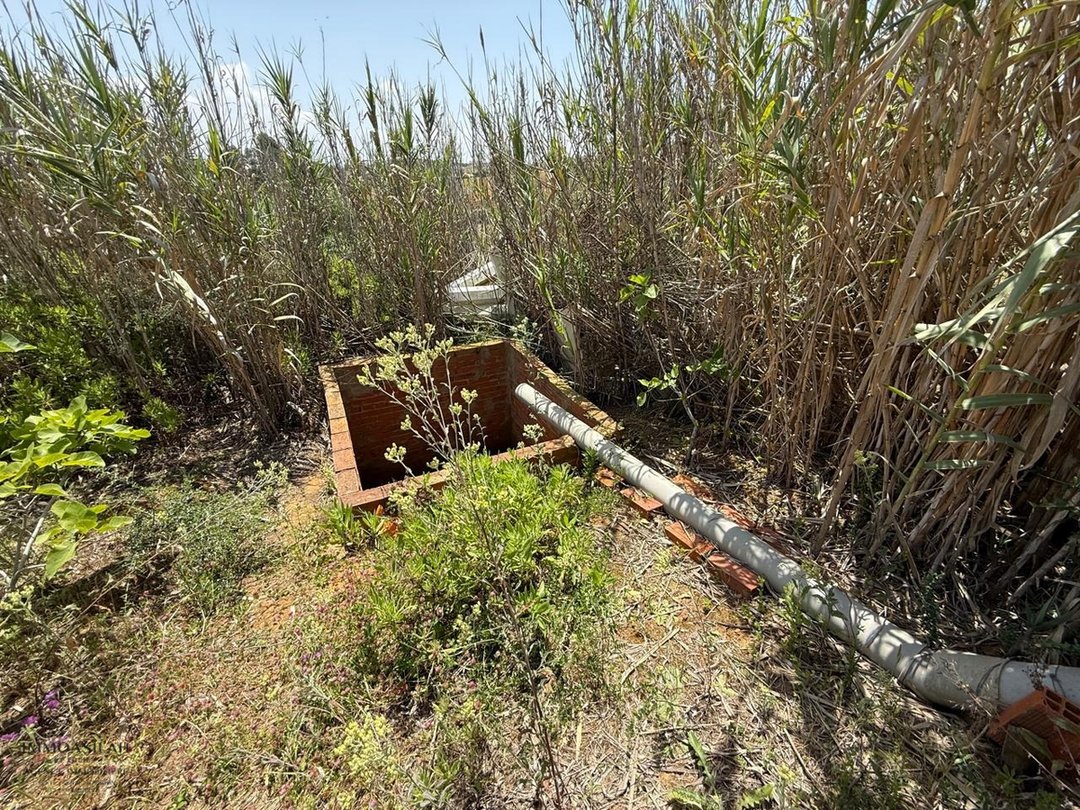 Casa de campo y terreno de 4880 m2 - Photo 6