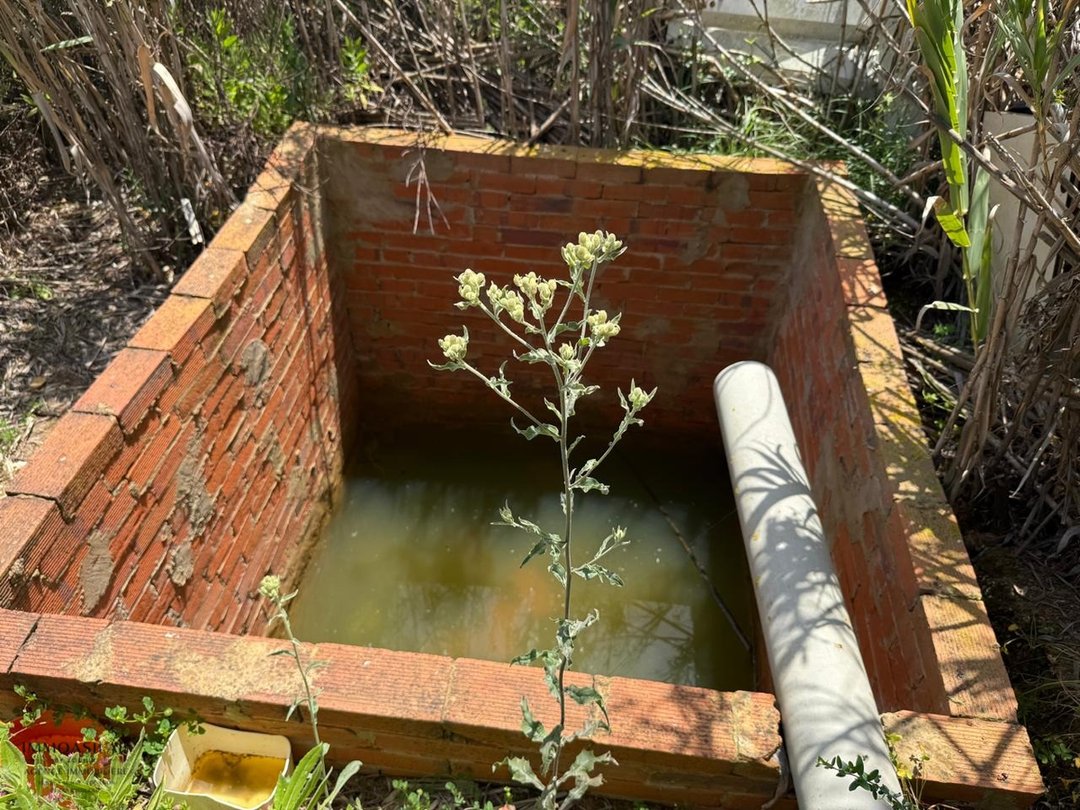 Casa de campo y terreno de 4880 m2 - Photo 7