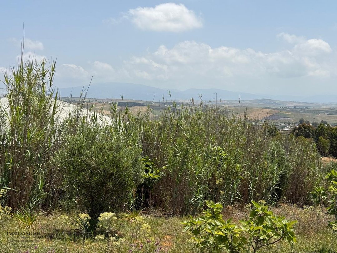 Casa de campo y terreno de 4880 m2 - Photo 9