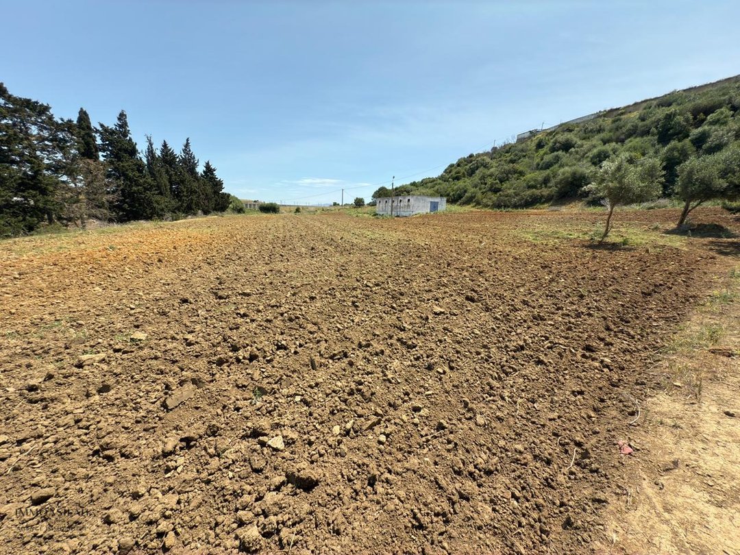 fermette et villa à vendre  - Photo 10