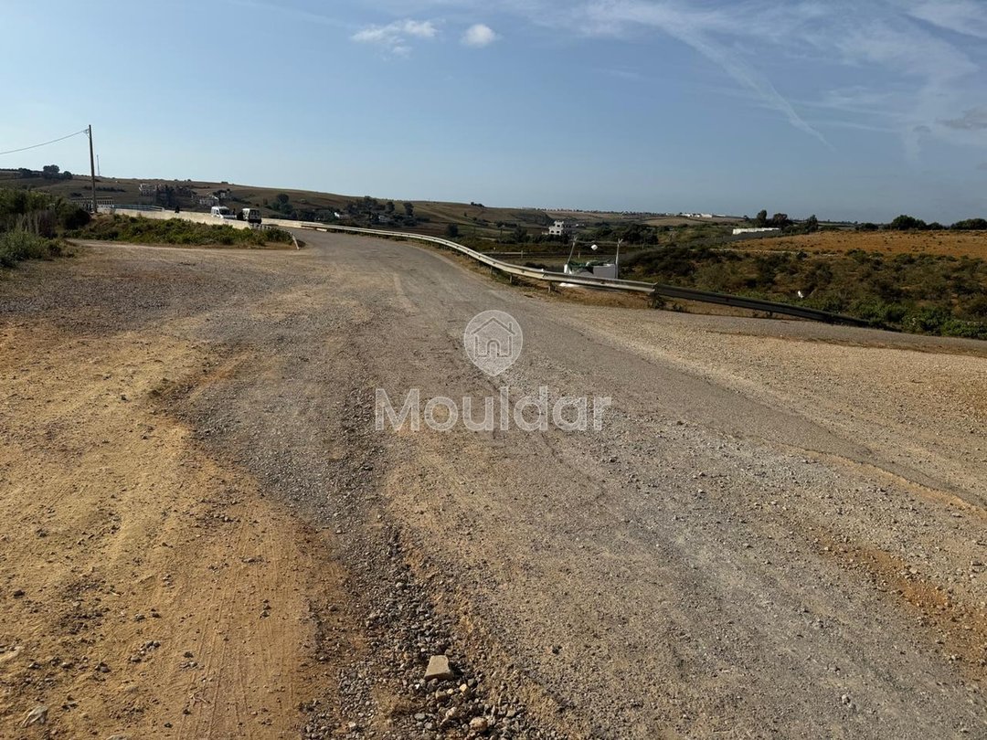 Όμορφη εξοχική κατοικία προς πώληση στην Ασίλα - Οικόπεδο 4880 m² - Photo 12