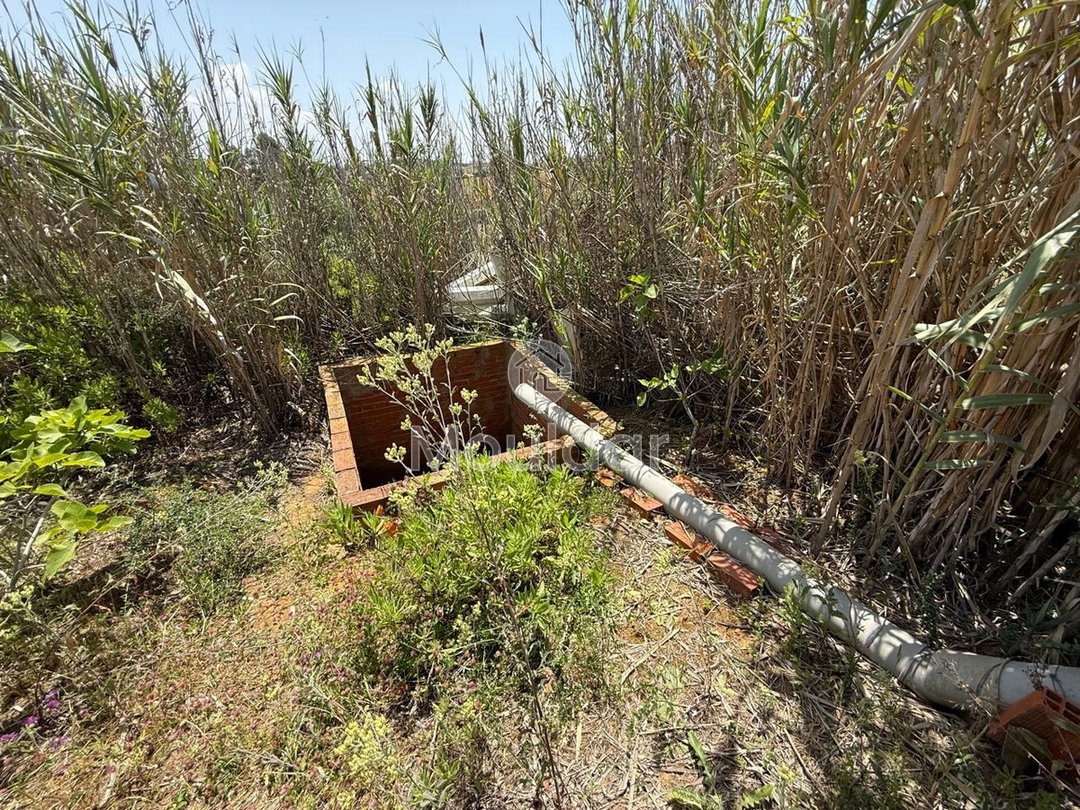 Όμορφη εξοχική κατοικία προς πώληση στην Ασίλα - Οικόπεδο 4880 m² - Photo 6