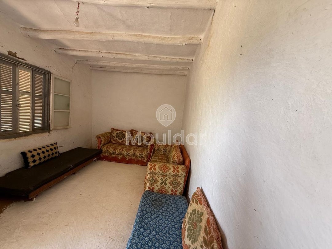 Όμορφη εξοχική κατοικία προς πώληση στην Ασίλα - Οικόπεδο 4880 m² - Photo 3