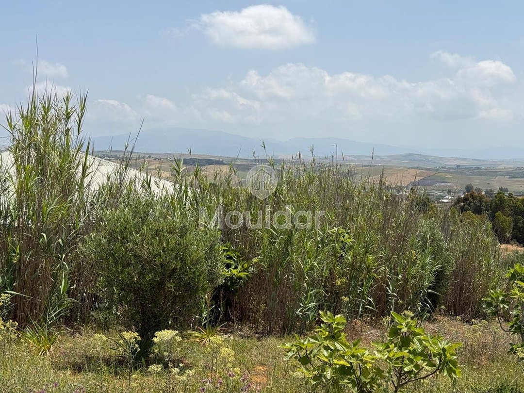 Όμορφη εξοχική κατοικία προς πώληση στην Ασίλα - Οικόπεδο 4880 m² - Photo 9