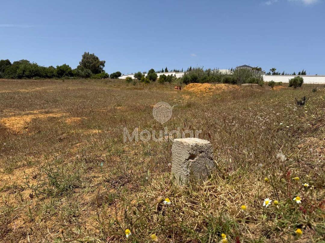 Όμορφη εξοχική κατοικία προς πώληση στην Ασίλα - Οικόπεδο 4880 m² - Photo 8