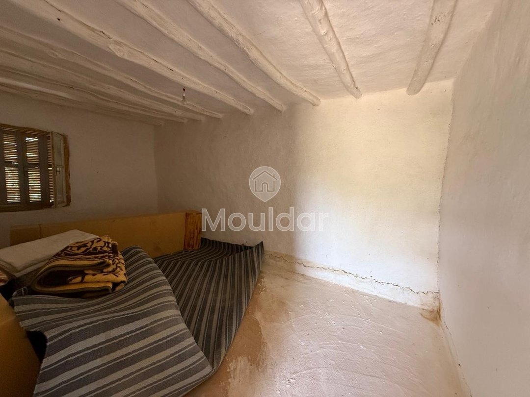 Όμορφη εξοχική κατοικία προς πώληση στην Ασίλα - Οικόπεδο 4880 m² - Photo 4