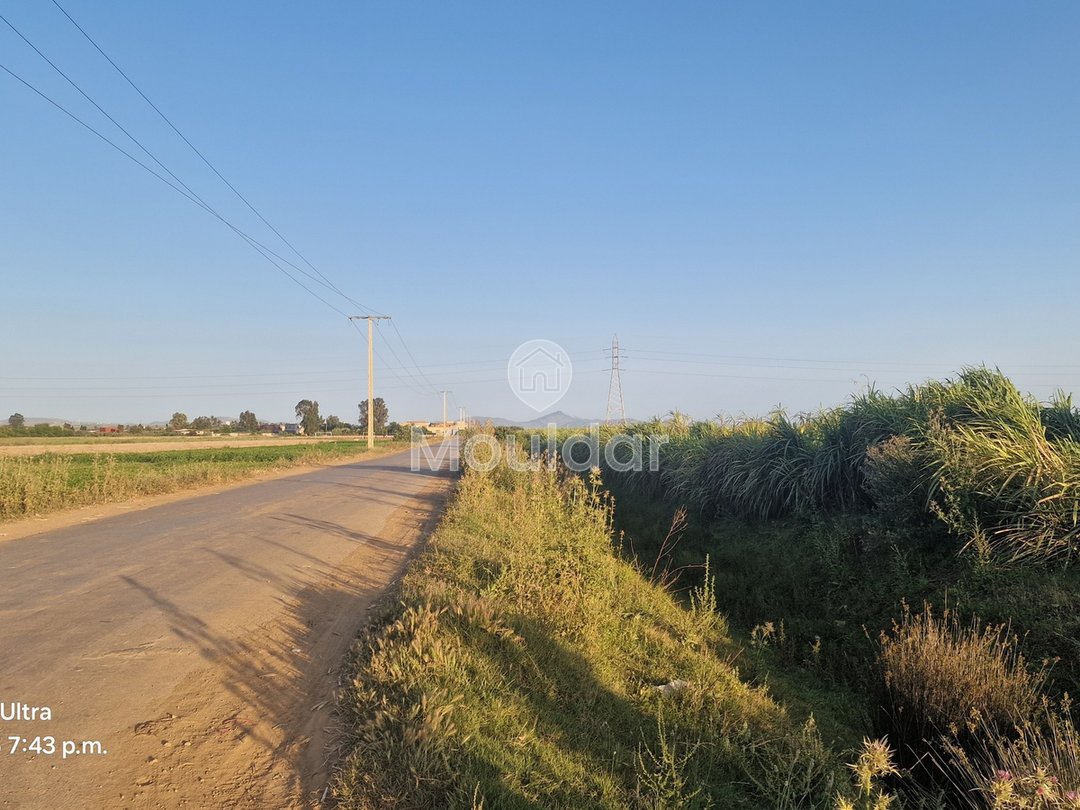 أرض زراعية للبيع في القصر الكبير - 20,000 م² - Photo 9