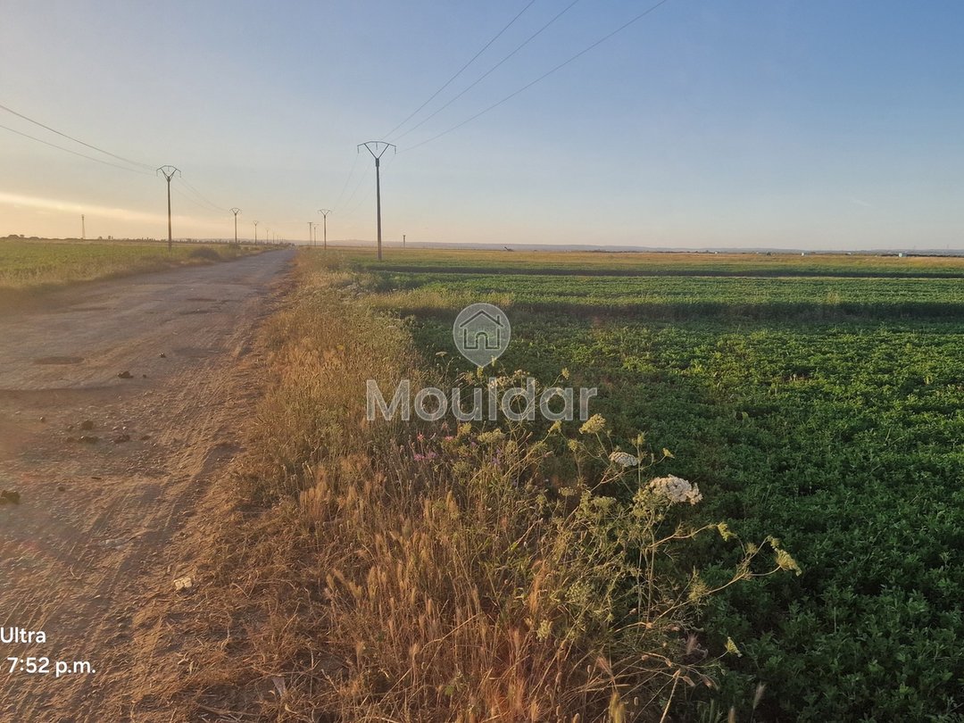 أرض زراعية للبيع في القصر الكبير - 20,000 م² - Photo 10