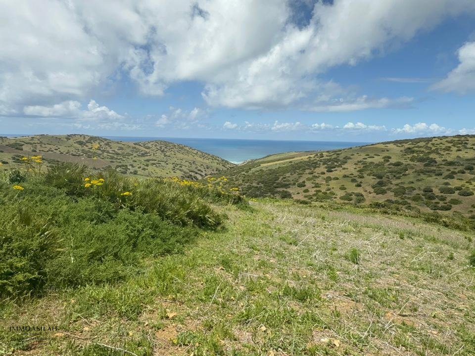 Terrain titré vue sur mer à Sidi Mghait Asilah - Photo 1