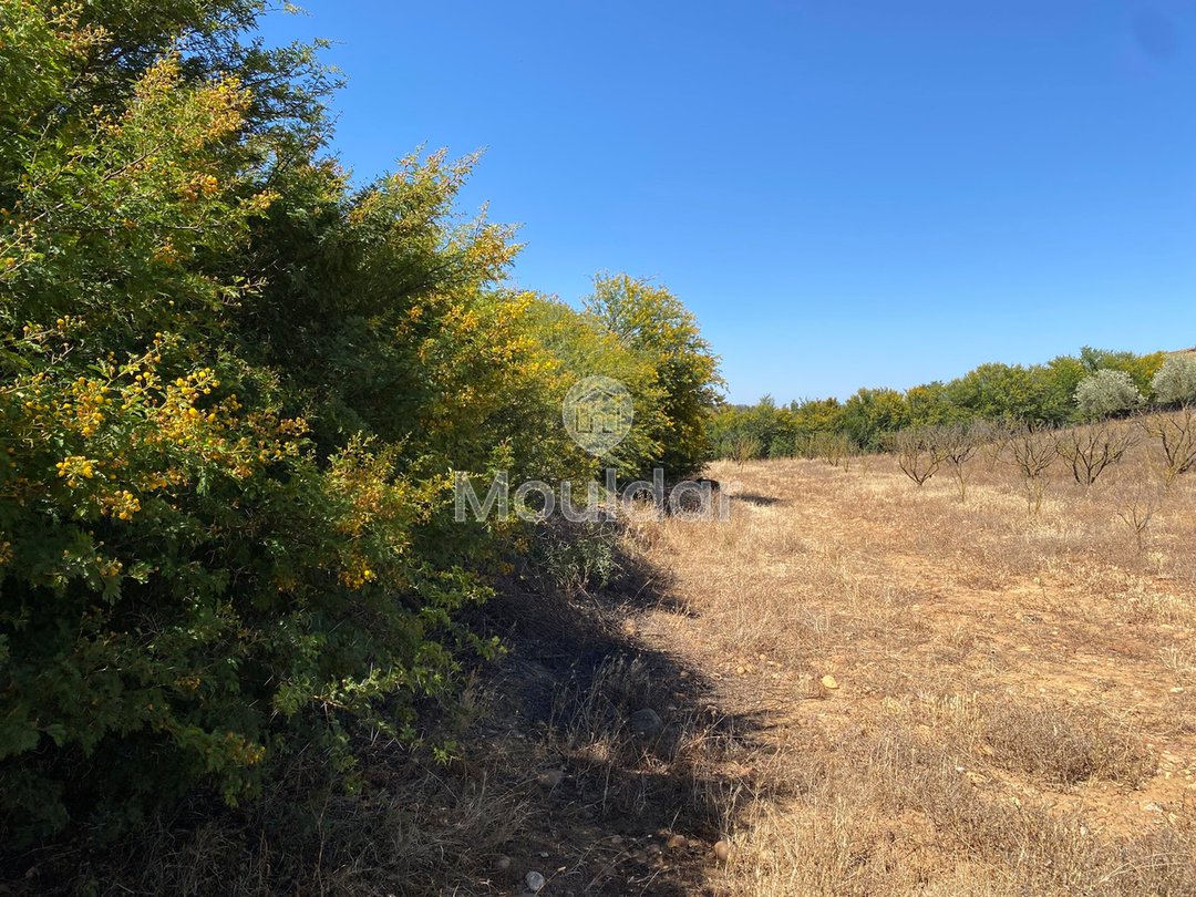 Rabat'ta satılık tarım arazisi: Benzersiz 10.000 m² fırsat - Photo 2