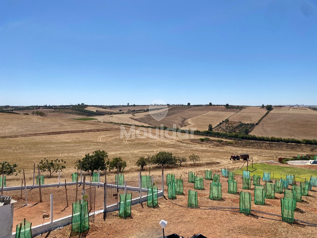 Rabat'ta satılık tarım arazisi: Benzersiz 10.000 m² fırsat - Photo 4