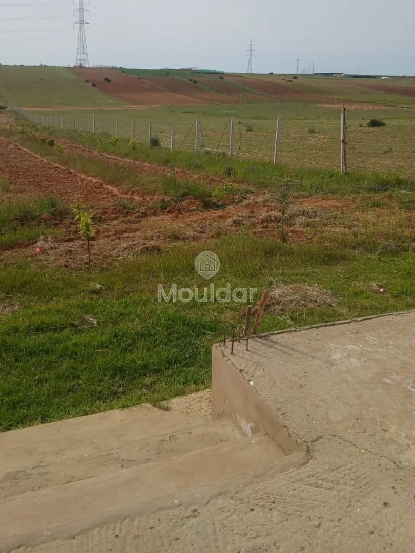 Kénitra'da satılık Tarım Mülkiyeti - Fouarate, 3100m² - Photo 2