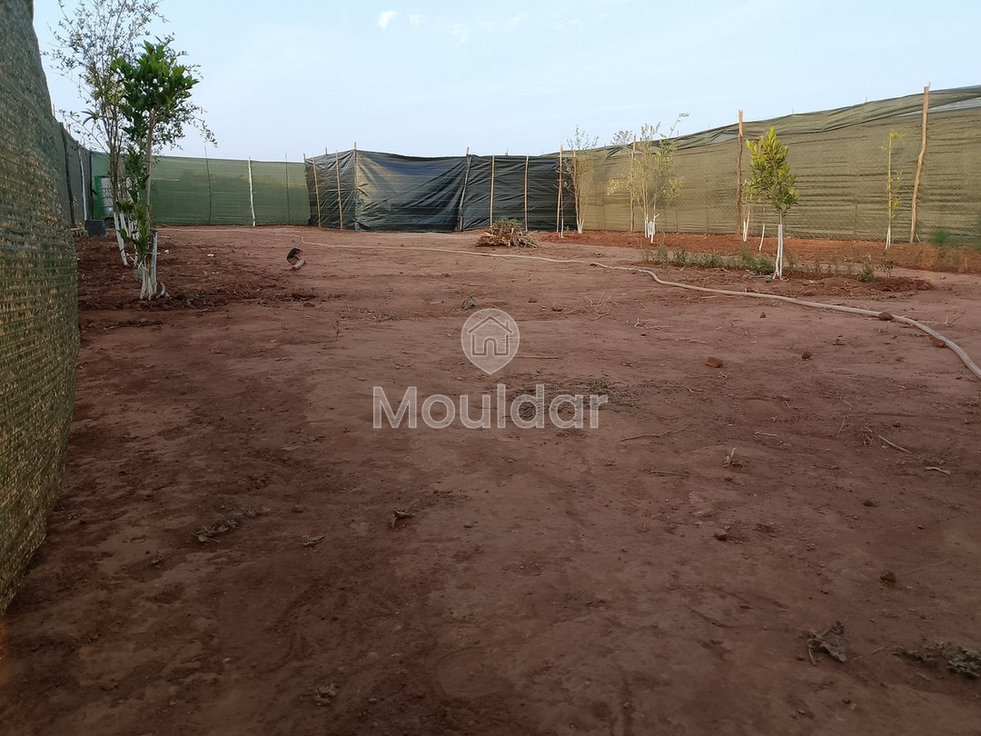 أرض زراعية للبيع في المحمدية - فرصة فريدة - Photo 3