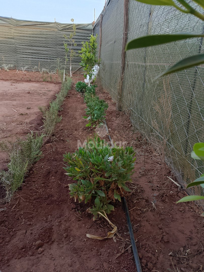 أرض زراعية للبيع في المحمدية - فرصة فريدة - Photo 5