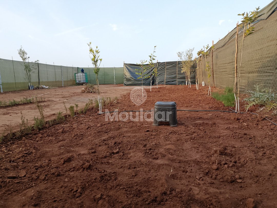 أرض زراعية للبيع في المحمدية - فرصة فريدة - Photo 7