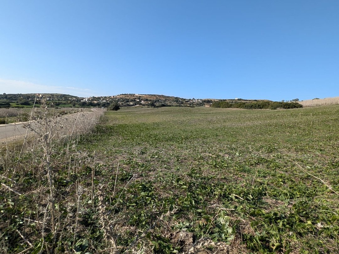 3 hectares of agricultural land for sale in Asilah - Photo 4