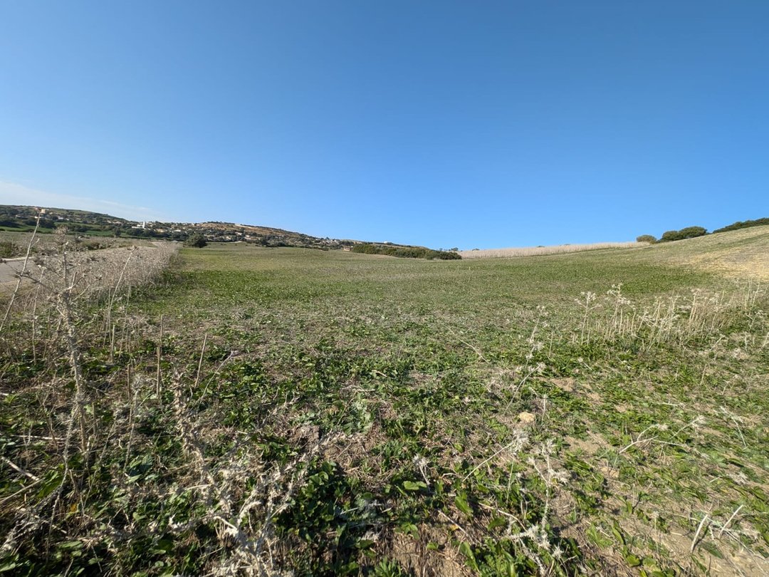 3 hectares of agricultural land for sale in Asilah - Photo 3