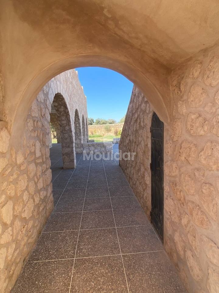 Charmante Maison 3 Chambres avec Piscine à Essaouira à Saisir - Photo 16