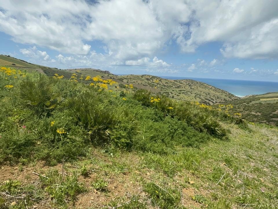 Terreno titulado con autorización de construcción - Photo 1