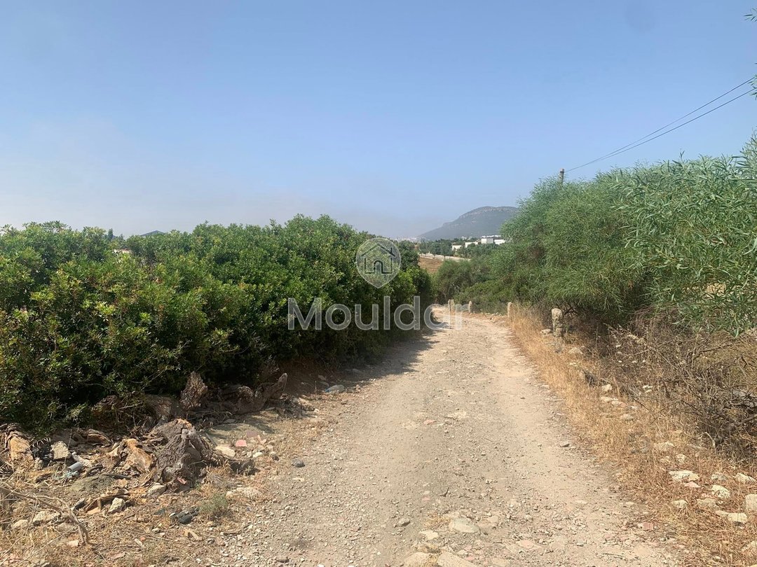 طنجة: أرض للبيع لفيلا، 3500 م² للفرصة المتاحة - Photo 3