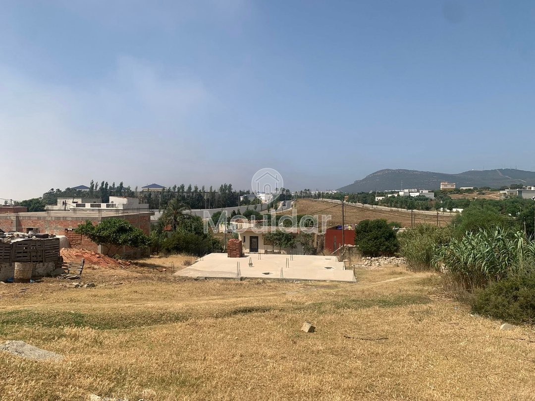 طنجة: أرض للبيع لفيلا، 3500 م² للفرصة المتاحة - Photo 2