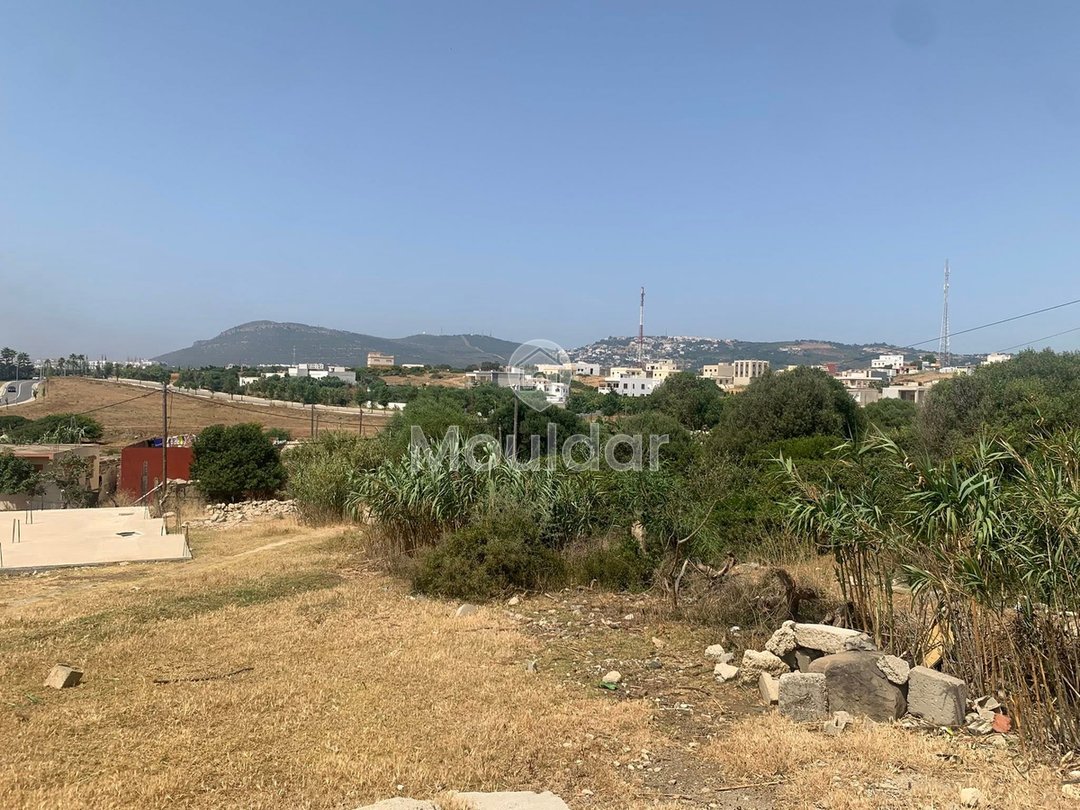 طنجة: أرض للبيع لفيلا، 3500 م² للفرصة المتاحة - Photo 1