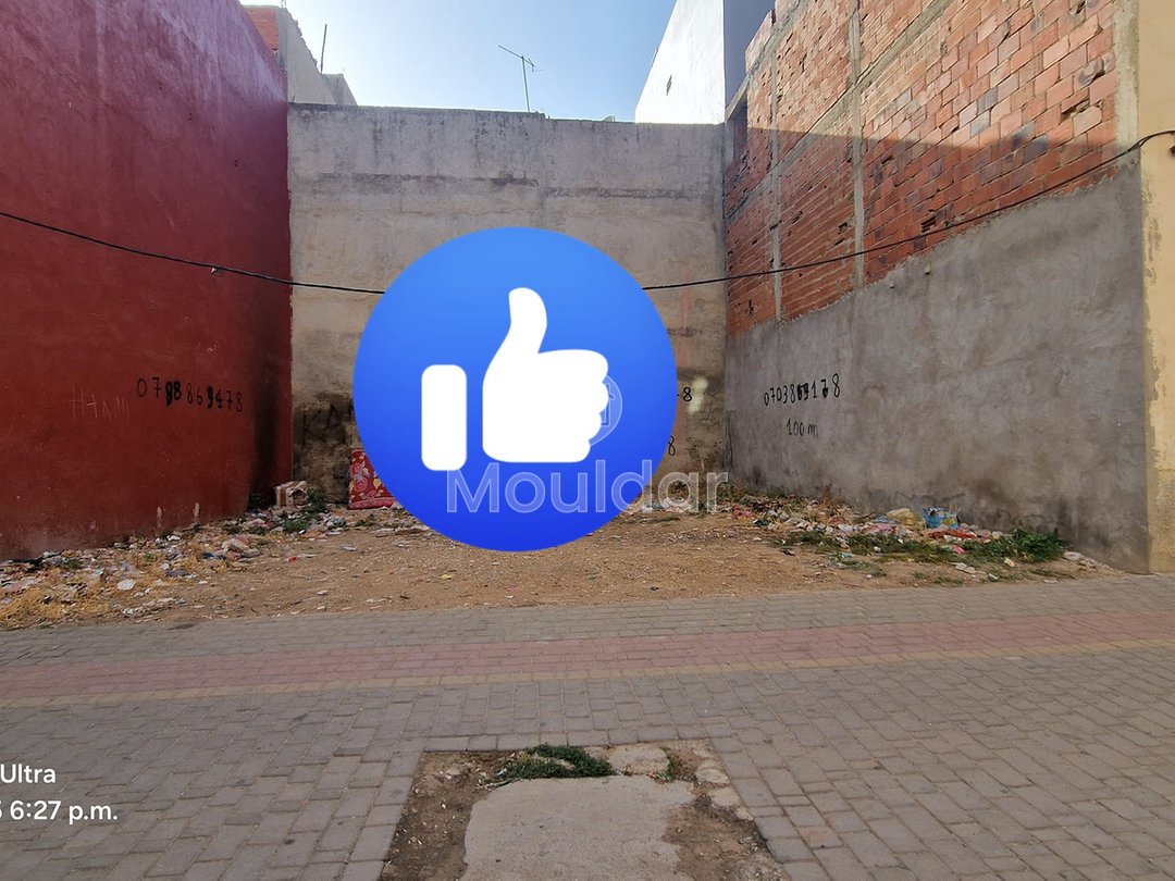 قطعة أرض للبناء في قصر الكبير: فرصة لا تفوت - Photo 7