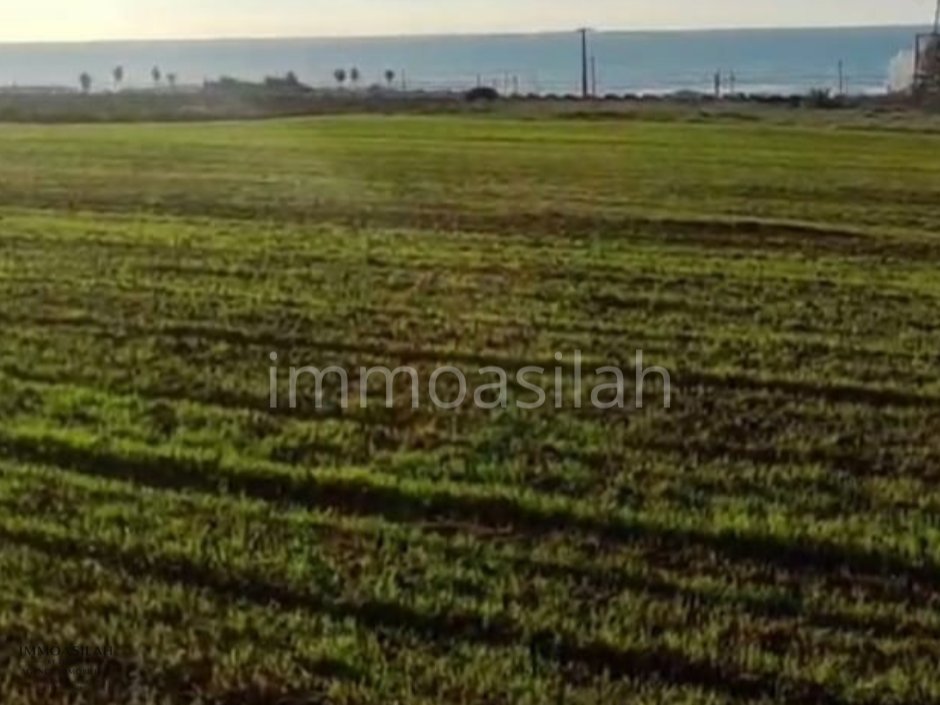 Terreno 26244 m2 para proyecto residencial frente al mar - Photo 2