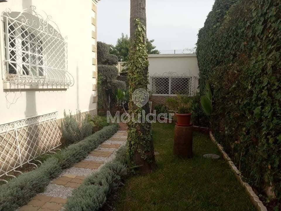 Studio fermecător de închiriat la Casablanca - Oasis, 40 m² - Photo 7