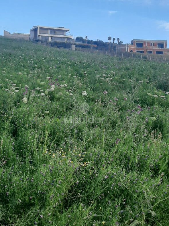 أرض للبيع في أصيلا: فرصة فيلا فريدة - Photo 6