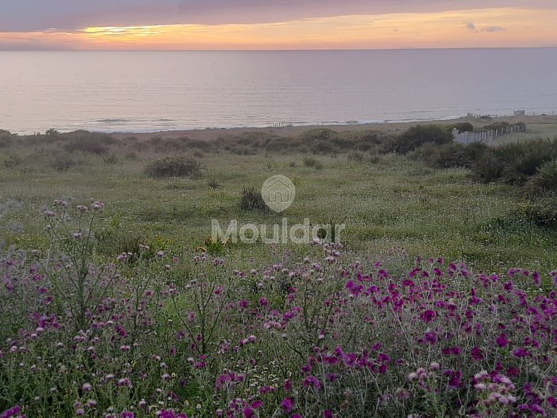 أرض للبيع في أصيلا: فرصة فيلا فريدة - Photo 2