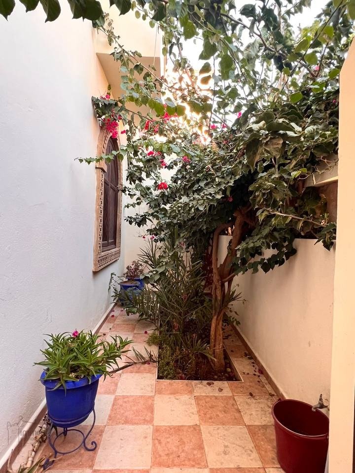 Villa spacieuse à Essaouira : 5 chambres, 150m² à saisir ! - Photo 3