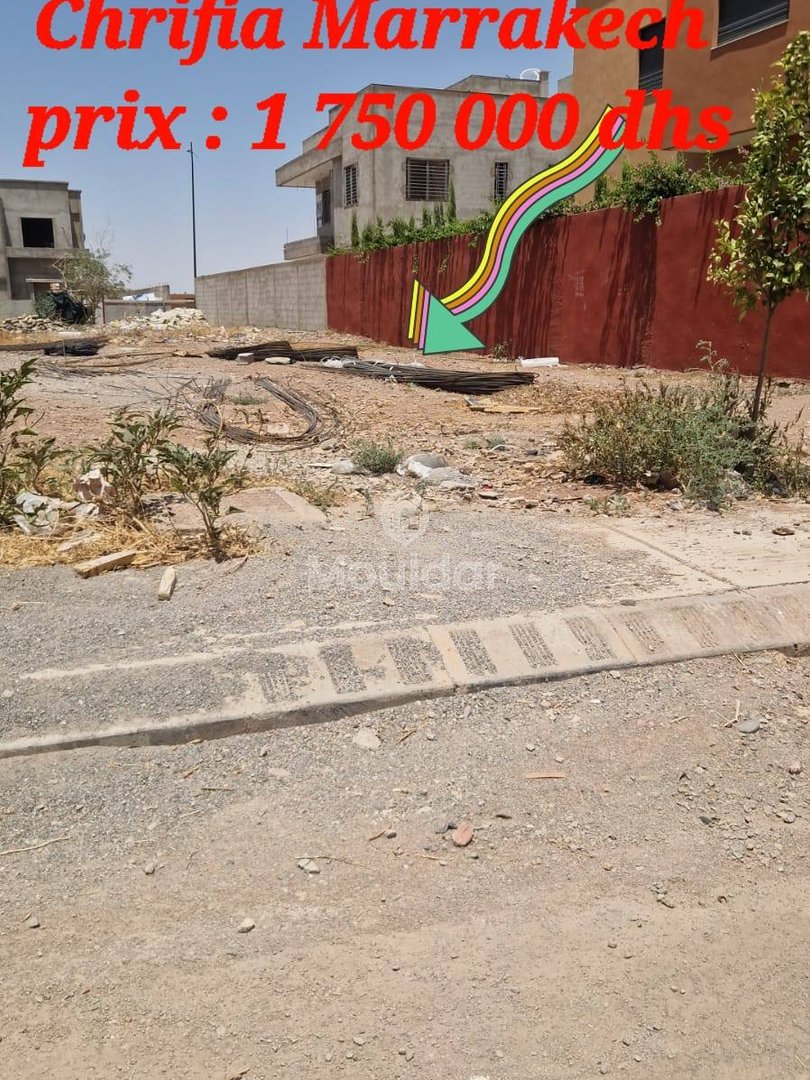 أرض زراعية للبيع في مراكش - فرصة فريدة - Photo 2