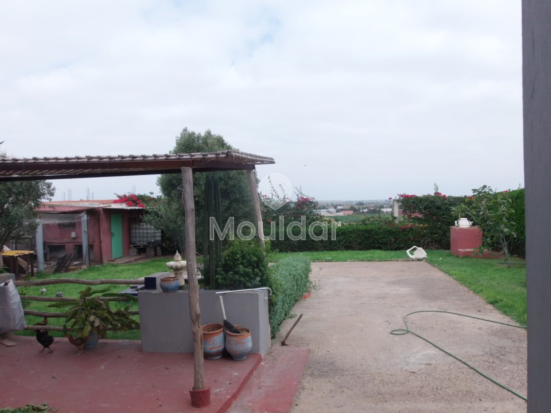 Όμορφη βίλα προς πώληση στο Ελ Τζαϊντίντα: κομψότητα και χώρος - Photo 16