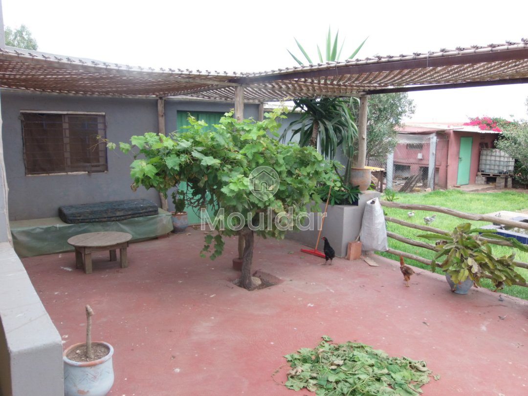 Όμορφη βίλα προς πώληση στο Ελ Τζαϊντίντα: κομψότητα και χώρος - Photo 2