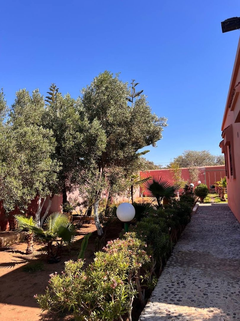 فيلا للبيع في الصويرة - 3 غرف نوم، 1000م² - Photo 8