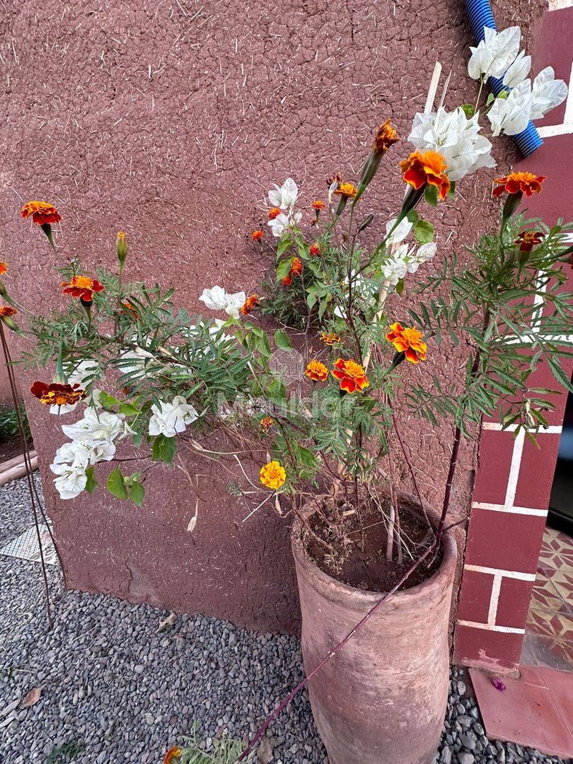 Luksusowa willa na sprzedaż w Marrakech - 4 przestronne sypialnie - Photo 5