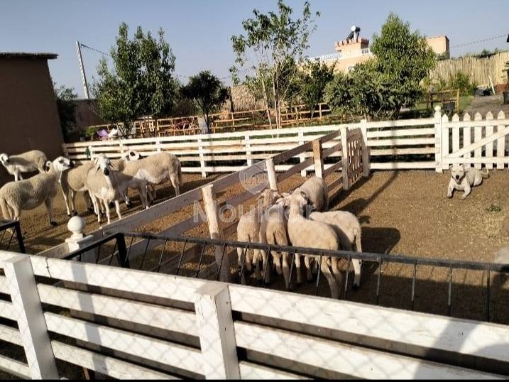 Luksusowa willa na sprzedaż w Marrakech - 4 przestronne sypialnie - Photo 10