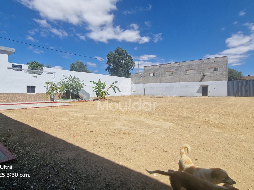 فرصة فريدة: قطعة أرض صناعية بمساحة 2400 متر مربع في القصر الكبير - Photo 17