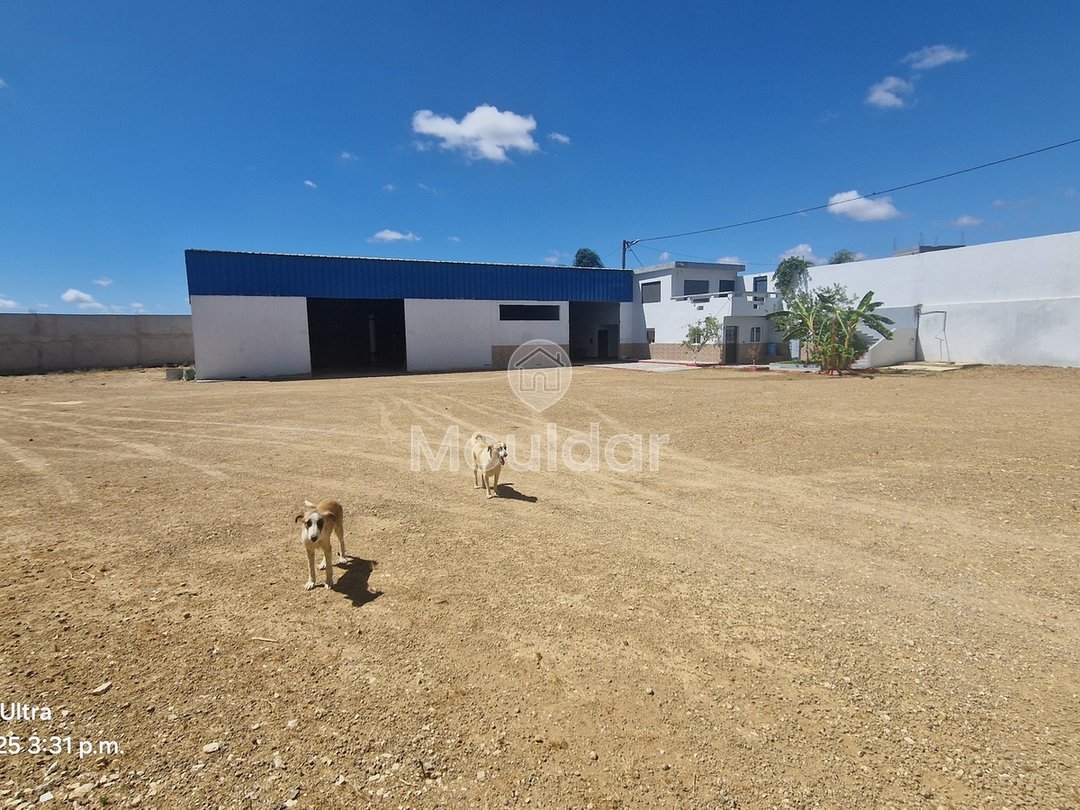 فرصة فريدة: قطعة أرض صناعية بمساحة 2400 متر مربع في القصر الكبير - Photo 1