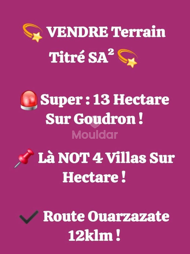 أرض زراعية للبيع في مراكش - 130,000 متر مربع للاستغلال - Photo 5