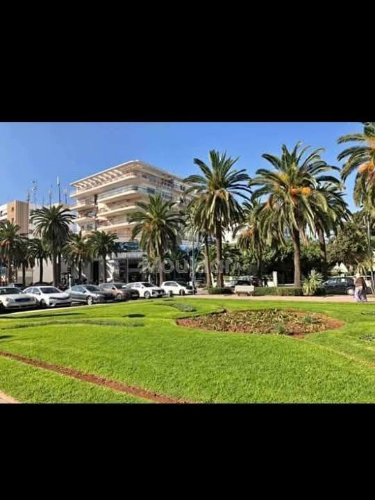 شقة رائعة للإيجار في المحمدية - حي المنتزه - Photo 7