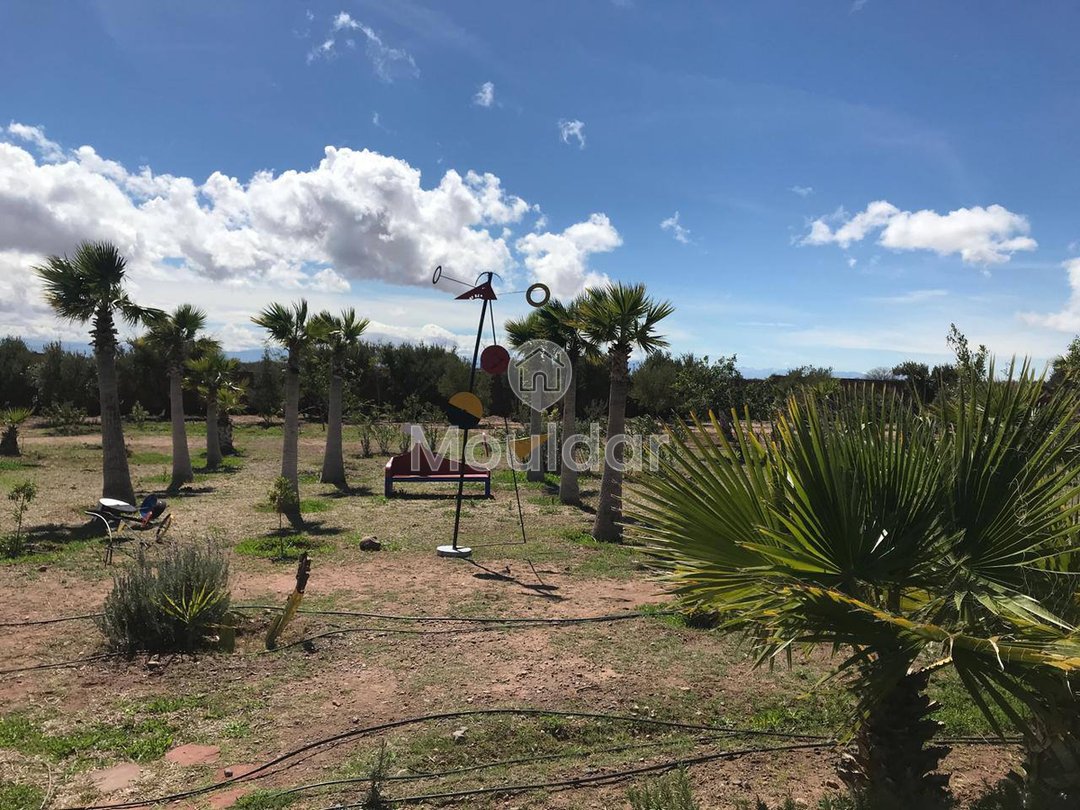 Marrakeş'te Riad Rüyası: Lüks ve Konfor Hijyenik - Photo 8