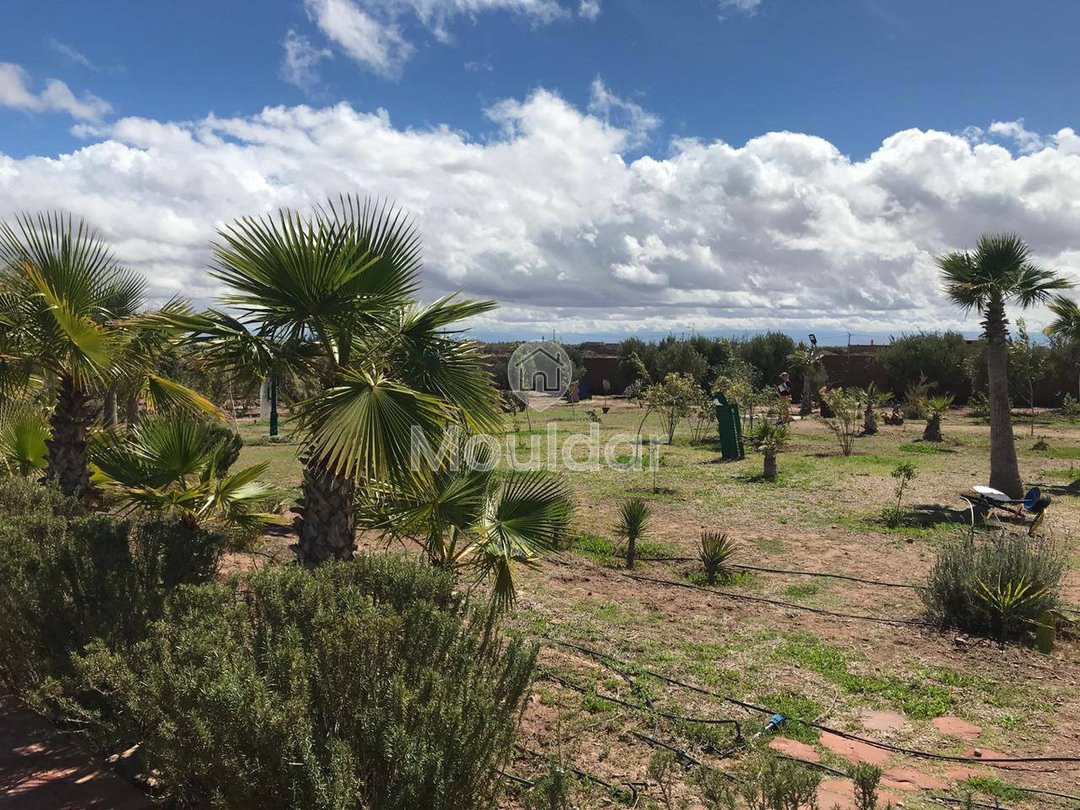 Marrakeş'te Riad Rüyası: Lüks ve Konfor Hijyenik - Photo 9