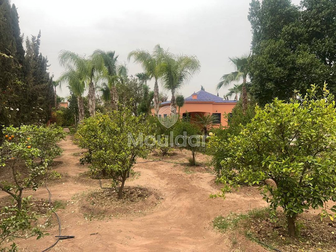 فيلا فاخرة للإيجار في مراكش - تارغا، 4 غرف نوم - Photo 13