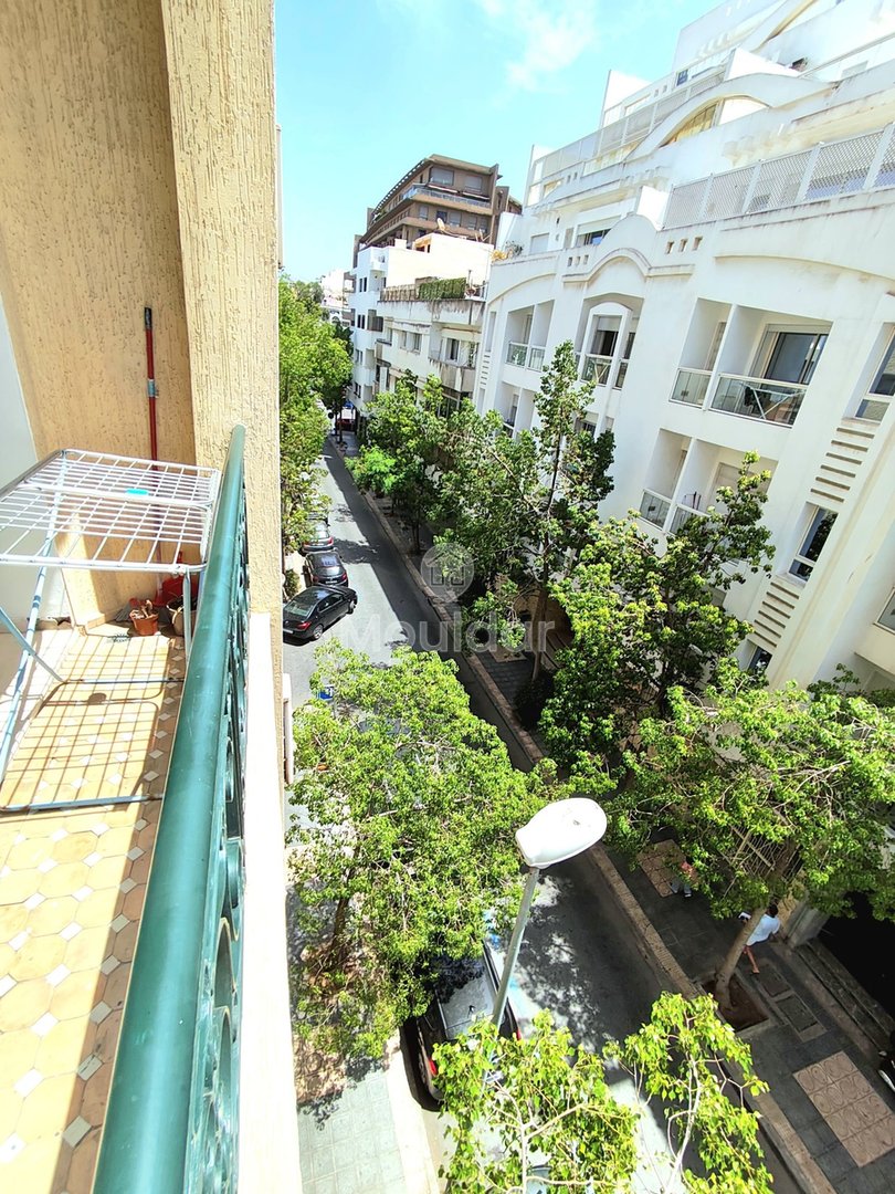 استوديو رائع للإيجار - Photo 4