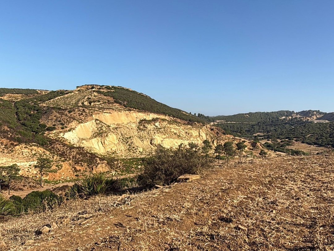 أرض 12 هكتار 6231 م² زراعية - Photo 2