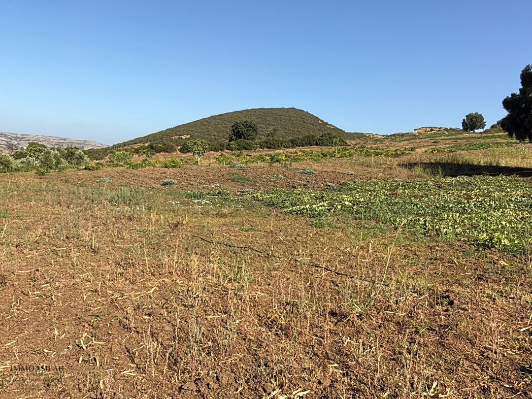 أرض 12 هكتار 6231 م² زراعية - Photo 7